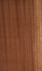 African Mahogany